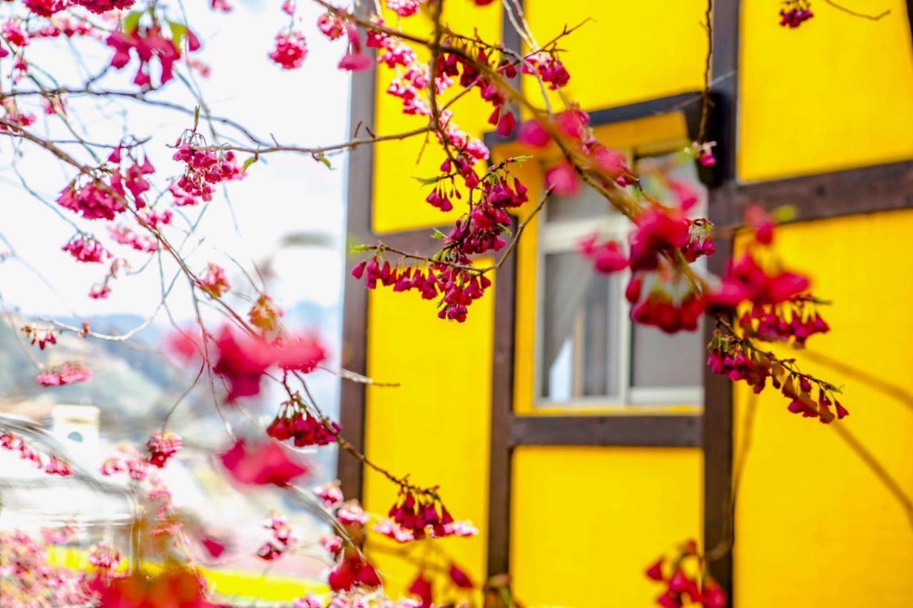 Shepherd'S B&B Renai Exteriér fotografie